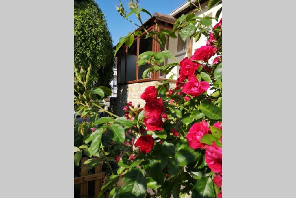 La Roseliere Maison Plain Pied Confortable Belle Decoration Jardin Magnifique 10 Mn A Pied Centre Ville Bayeux Proche Plages Du Debarquement Exterior foto