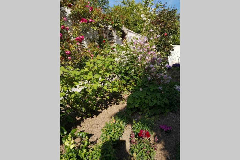 La Roseliere Maison Plain Pied Confortable Belle Decoration Jardin Magnifique 10 Mn A Pied Centre Ville Bayeux Proche Plages Du Debarquement Exterior foto