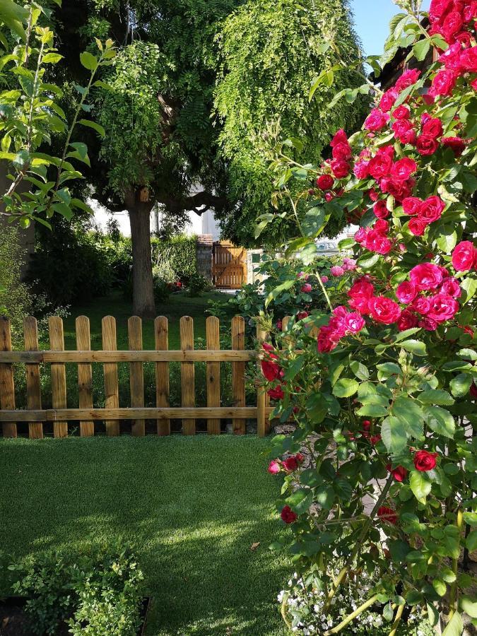 La Roseliere Maison Plain Pied Confortable Belle Decoration Jardin Magnifique 10 Mn A Pied Centre Ville Bayeux Proche Plages Du Debarquement Exterior foto